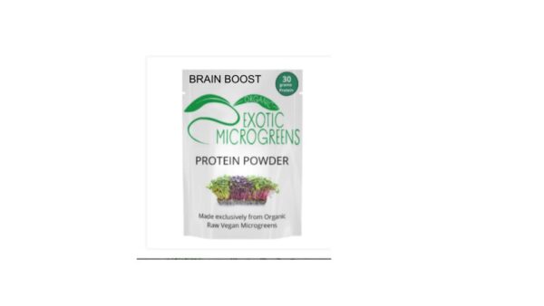 Brain Boost Nutrient Dense Protein Powder